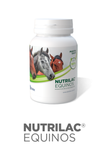 nutrilac-equinos